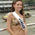 ���� ���� ������ 2005