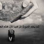 ��� ��� ������ �