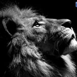 ����� ���� �� ���� �� ������ ����� �� �����.