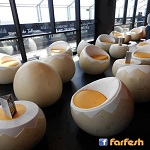 ���� �����