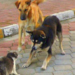 ��� ������� �� ����!!!