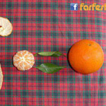 ���� ��������� ������� .