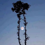 ���� �� ����