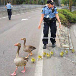 ����� �� ���� ������ ����� ���� ������ �� ������ ����� ����� ���� ��� ������ !!!