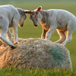 �� ���� ���� �������� ��� ��� ��� ���...