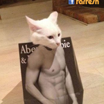 ��� ���� �����