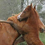 ���� ���� ��� ����� � ���