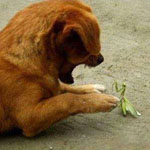 ����� ����� ��� ��� ����� ���� ����� ��� ����� �� ����� ����� ������ �����