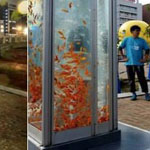 ������� ��� ������ ������� ������� ��������