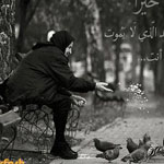 ���� ����� ���� �� ����� ������ ���� �� ���� ��� ���� ���