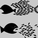 ����� ���� ������