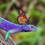 ����� ����� ������ ������ �������� ��...