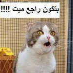 ������ ��� !!!:-)