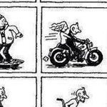 ������ ���� ���� .