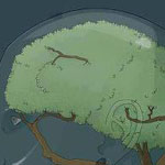 ����� ������ �� ����� ������