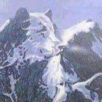 �� ����� ��� �� �����ɿ