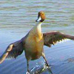 ��� ������ ���� ���� ������� � �� ���...