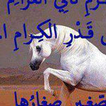 ���� ����