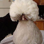 ������ �������� ���� ���� ���� �� ���...