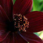 ���� �������������� ����� ���� ����� ...