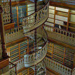 ��� ����� �� ����� ���� ������ ����� ��������