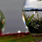 ���� ������ ���������� ���� �������.