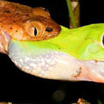 ���� ������ ������ ������� ������ ����