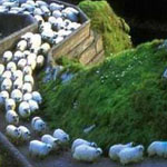 ���� ���� �� ������� ����� ������� ��...