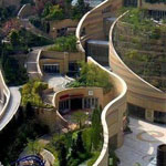 ��� ����� ����� �� ������ �������