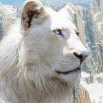 ����� ������