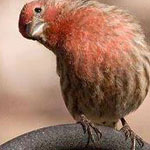 �� �� ������ ������