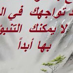 ������ ���� �����