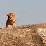 ��� ����� �� ��� �����