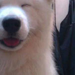 ���� ��� �� ������