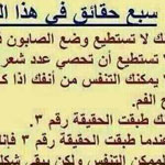 ������ ���� ������