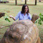 ��������� ����������� �������� 