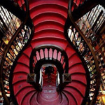 ���� �� ���� ����� ���� �� ����� - ��...