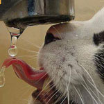 ������ �� ����� �� ��� �� ���� ������