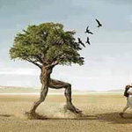 �� ���� ���� ��� ���� .. ������ �� ������ ������ ���� .