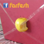 �� ��� ������� ���� ����� ��� Steve Jobs