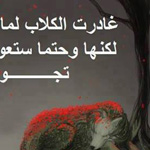 ����� ������ ��� ���� ����� ����� ���...