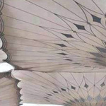 ����� �� ����� ����� ������ ������