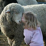 ���� ������... ��� ����� �����?