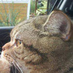 ��� ��� ���� ��� :-)