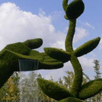 ���� �������� �� �� �����