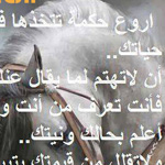 �� ���� �� ����� ������ ������