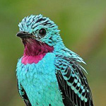 ����� ������ ���� ���� ����