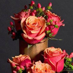 ���� ��� ��� ������