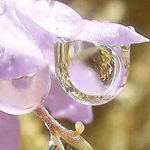 ����� �� �����