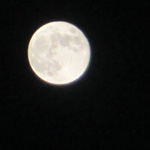 ���� ������ ����� ���� ��� ������